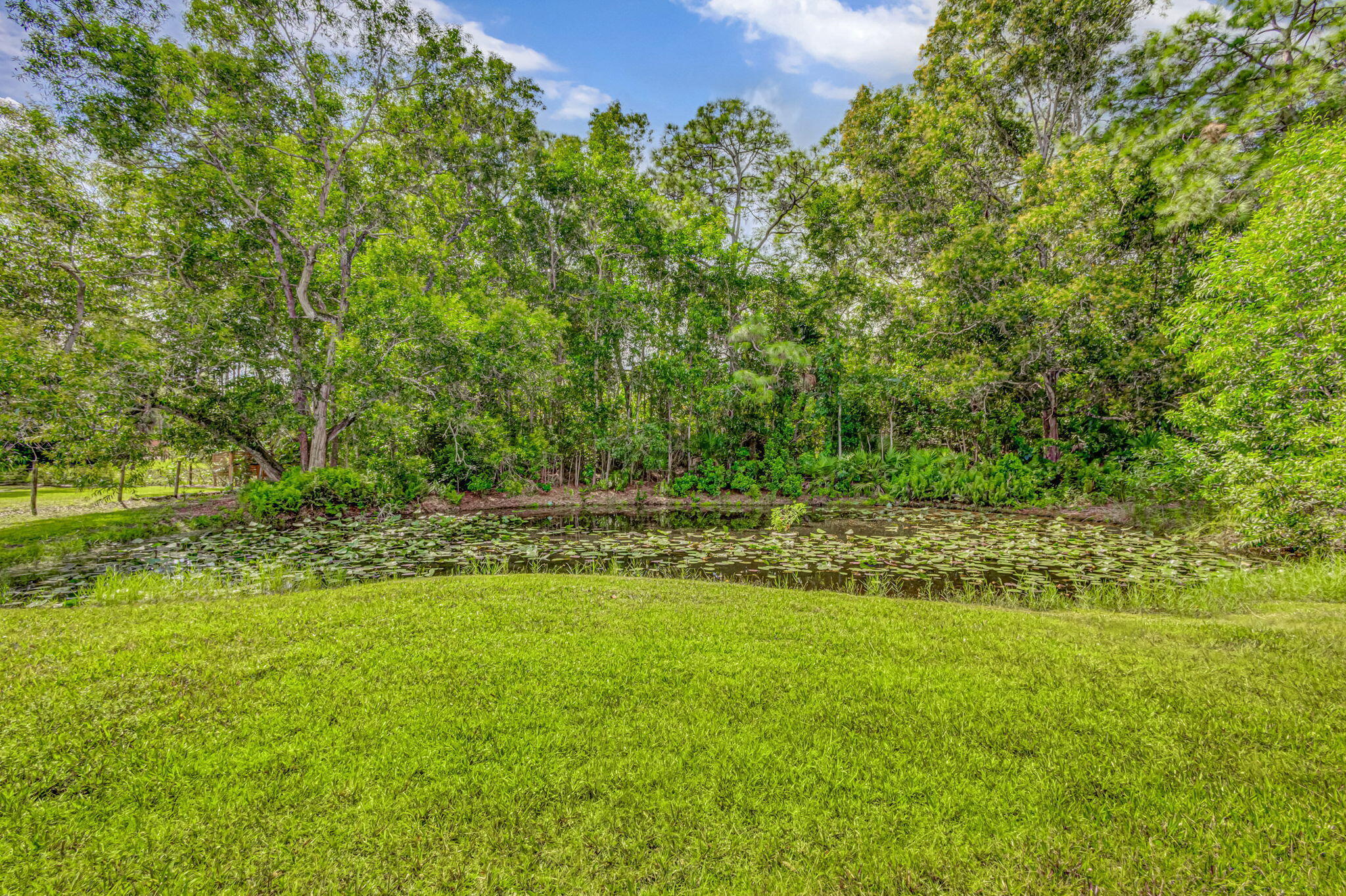12168 Sandy Run Road Jupiter Farms, FL 33478 - Photo 20 of 24 Pond