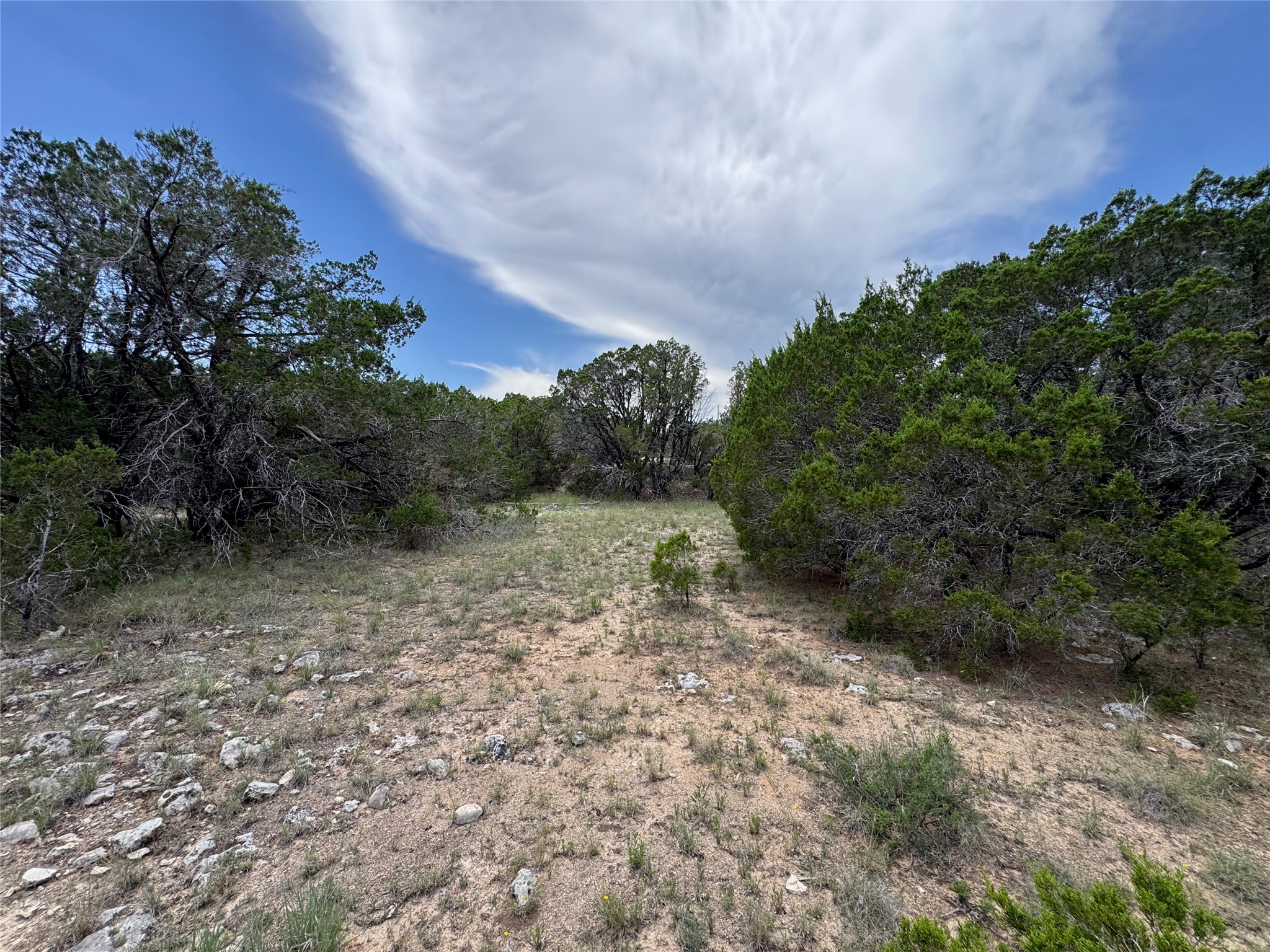 20800 Cedar Ridge Cove Lago Vista, TX 78645 - Photo 5 of 10 a view of a yard with plants and a tree