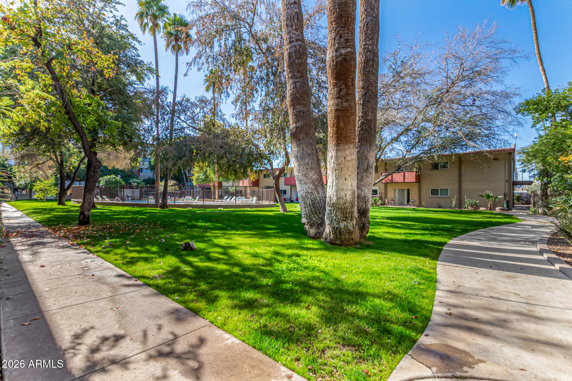 357 East Thomas Road, Unit A111 Phoenix, AZ 85012 - Photo 38 of 41 a view of a park with large trees