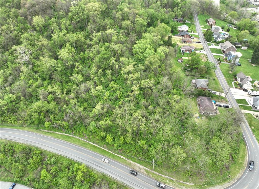 0 Hickory Grade Road Bridgeville, PA 15017 - Photo 5 of 18 a view of a yard with plants