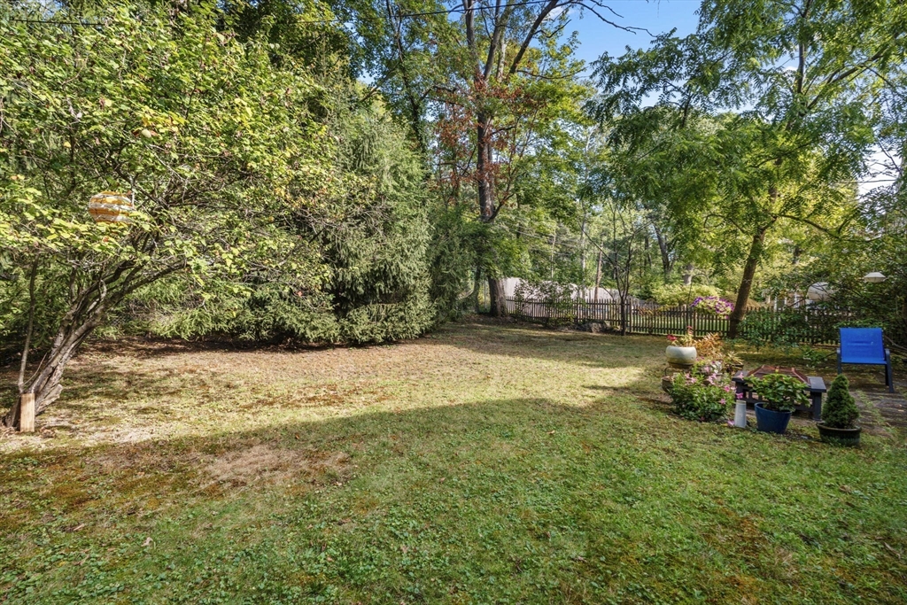 174 Middlesex Road Chestnut Hill, MA 02467 - Photo 18 of 18 a view of a backyard with swimming pool