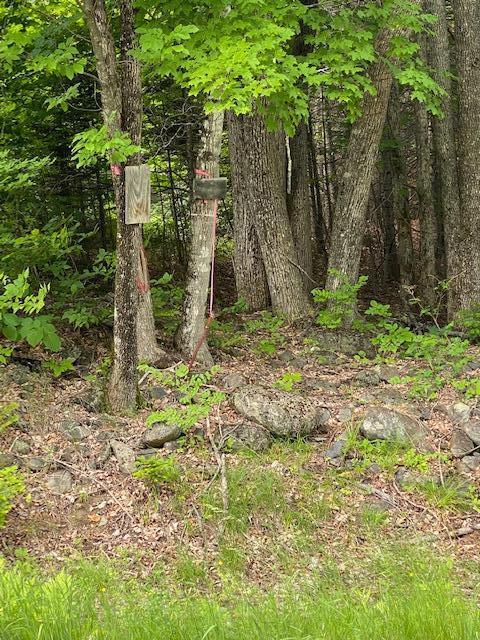 6142 Steward Road Monson, ME 04464 - Photo 17 of 26 IMG_2950
