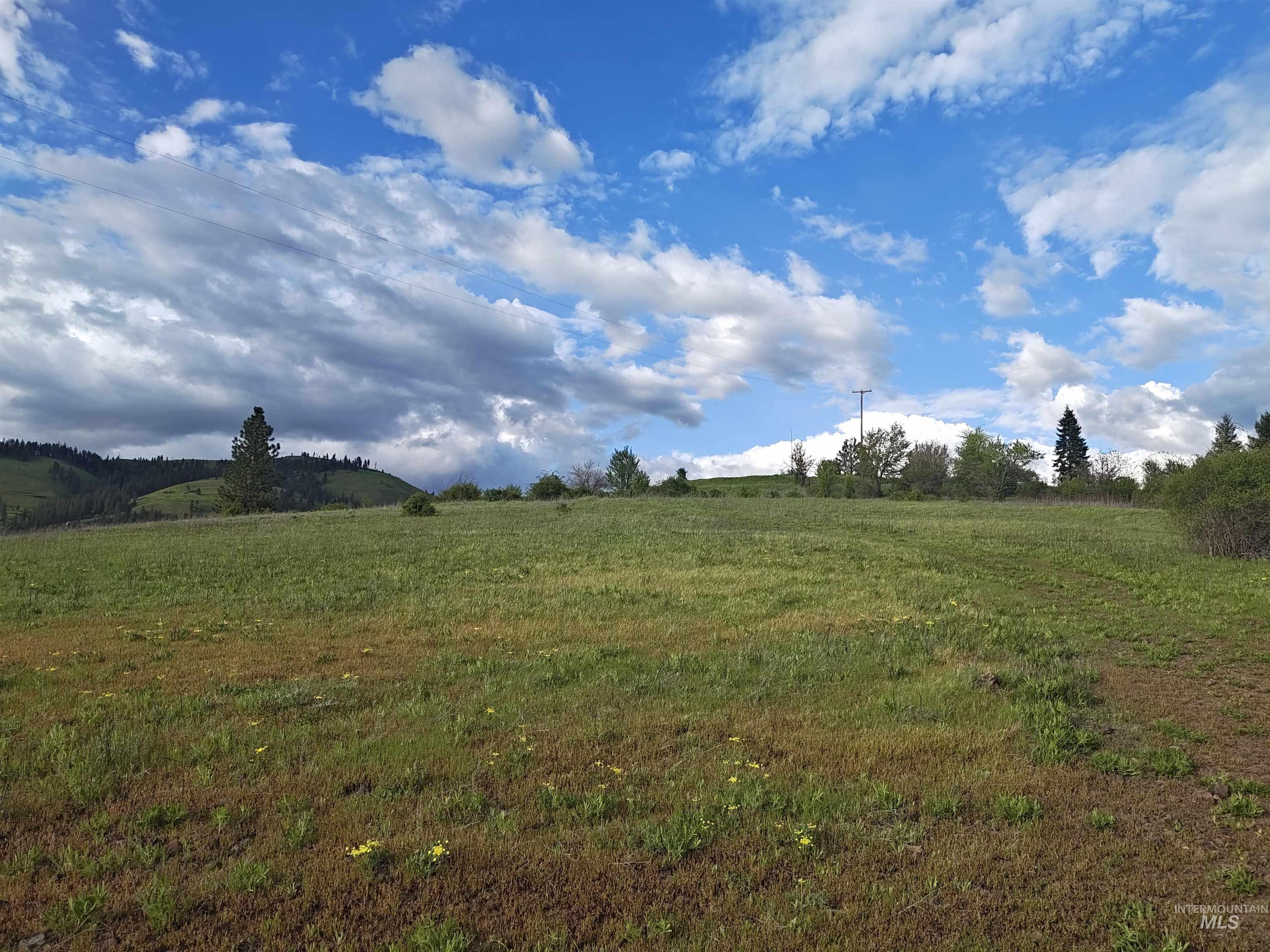 Tbd North Glenwood Road Kamiah, ID 83536 - Photo 2 of 11
