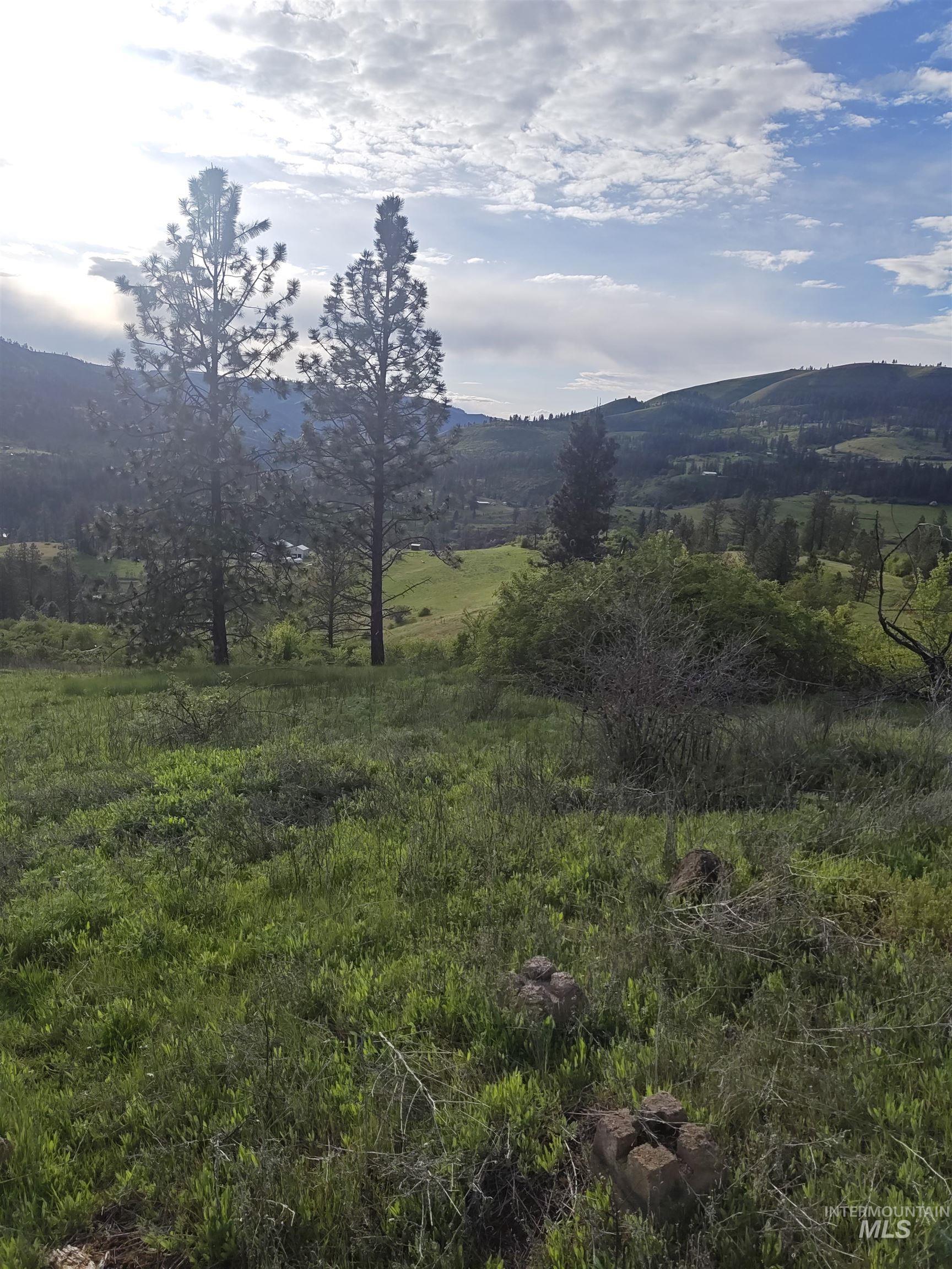 Tbd North Glenwood Road Kamiah, ID 83536 - Photo 4 of 11