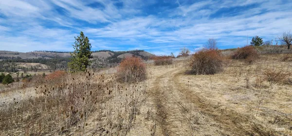 $114,900 | Tbd North Glenwood Road, Kamiah, ID 83536