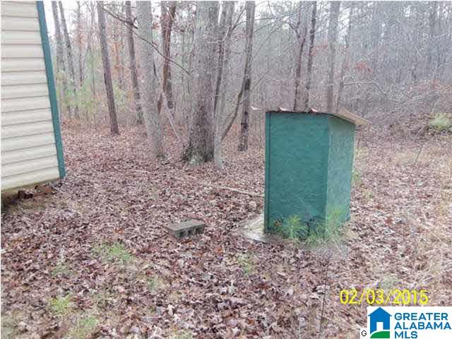 79 County Road 261 Muscadine, AL 36269 - Photo 23 of 23