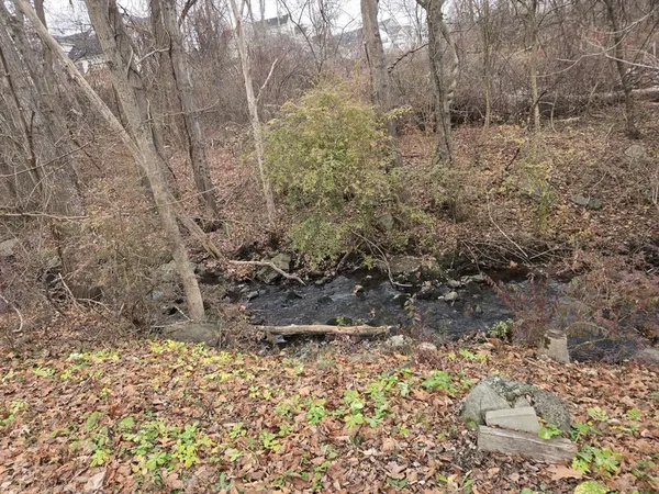 a view of a yard