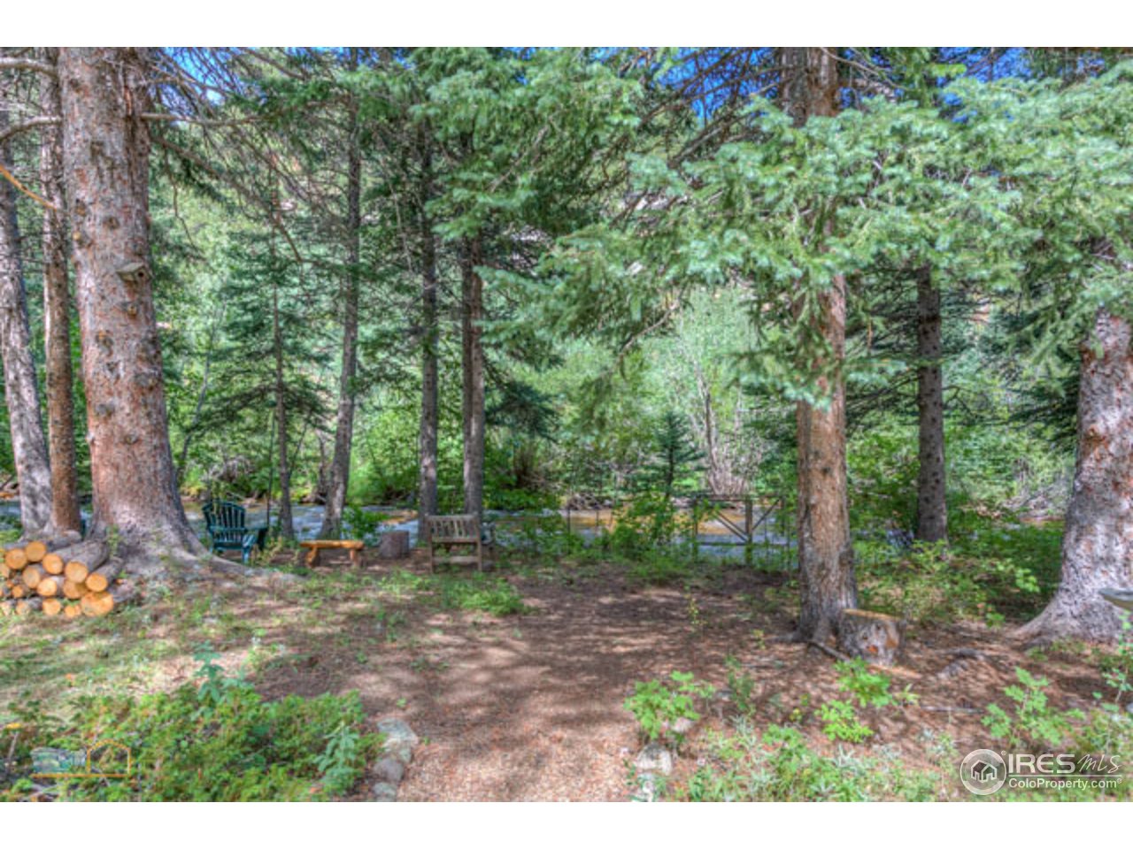 3141 Riverside Drive Lyons, CO 80540 - Photo 15 of 25 forest