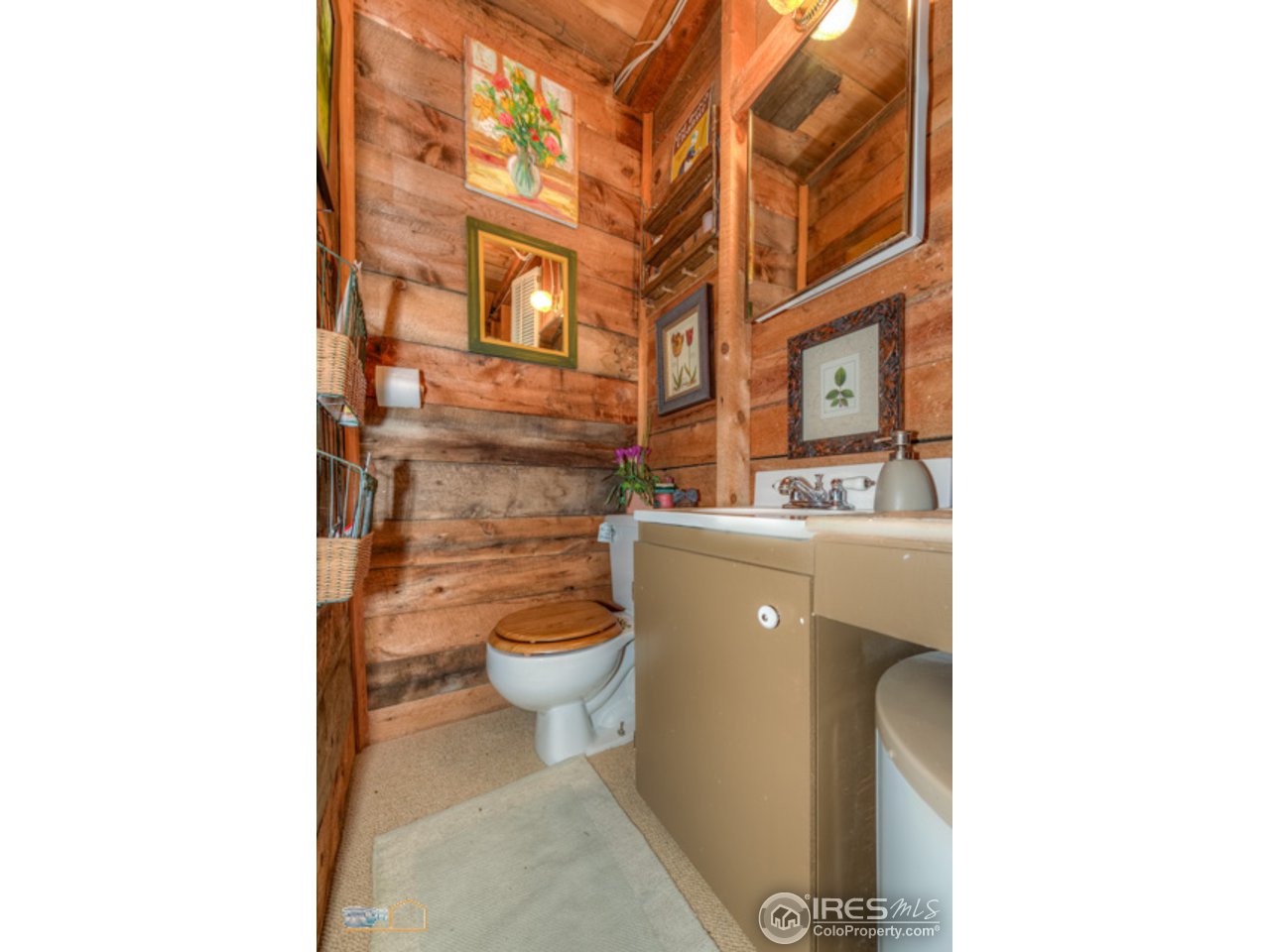 3141 Riverside Drive Lyons, CO 80540 - Photo 10 of 25 bathroom