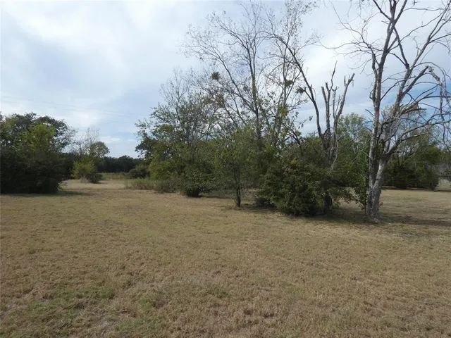 a view of an outdoor space with trees