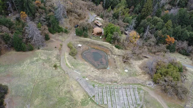 a view of a dry yard with trees