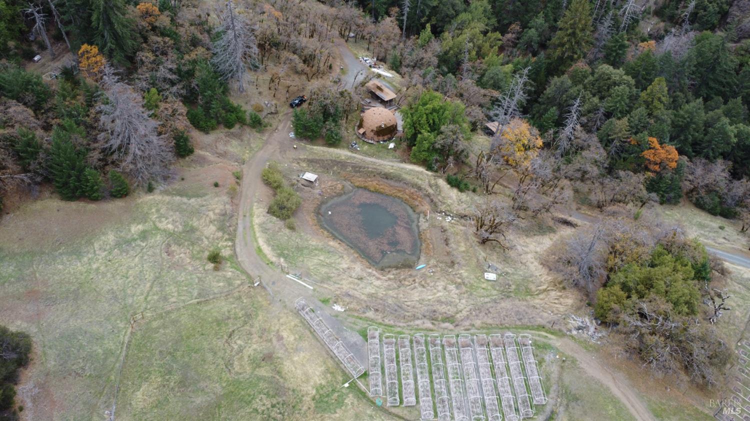6565 Spyrock Road Laytonville, CA 95454 - Photo 2 of 42 a view of a dry yard with trees