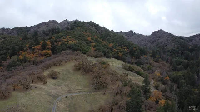 a view of a dry field with lots of trees
