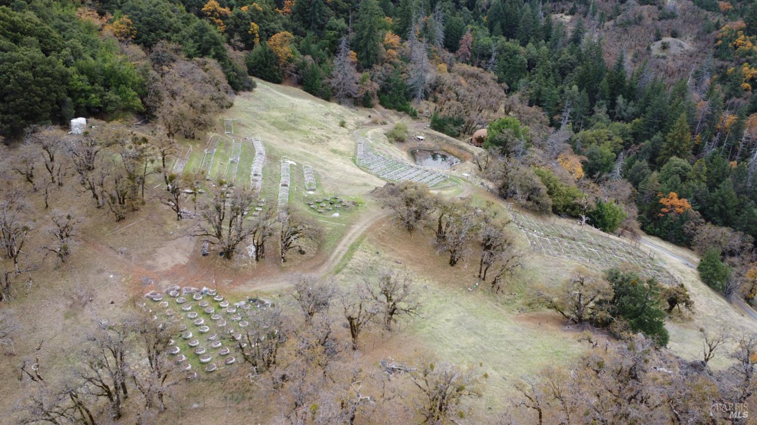 6565 Spyrock Road Laytonville, CA 95454 - Photo 25 of 42 a view of a dry field with lots of trees