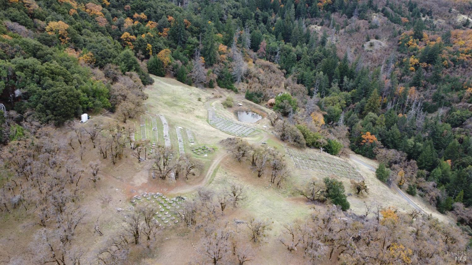6565 Spyrock Road Laytonville, CA 95454 - Photo 26 of 42 a view of a dry yard with lots of trees