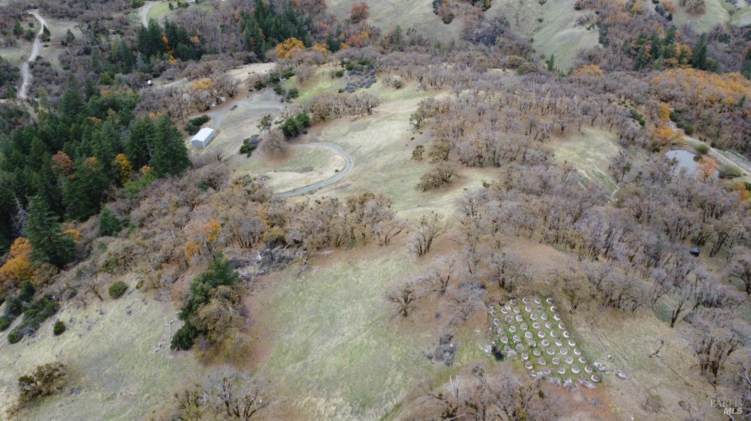 6565 Spyrock Road Laytonville, CA 95454 - Photo 28 of 42 a view of a forest with trees in the background