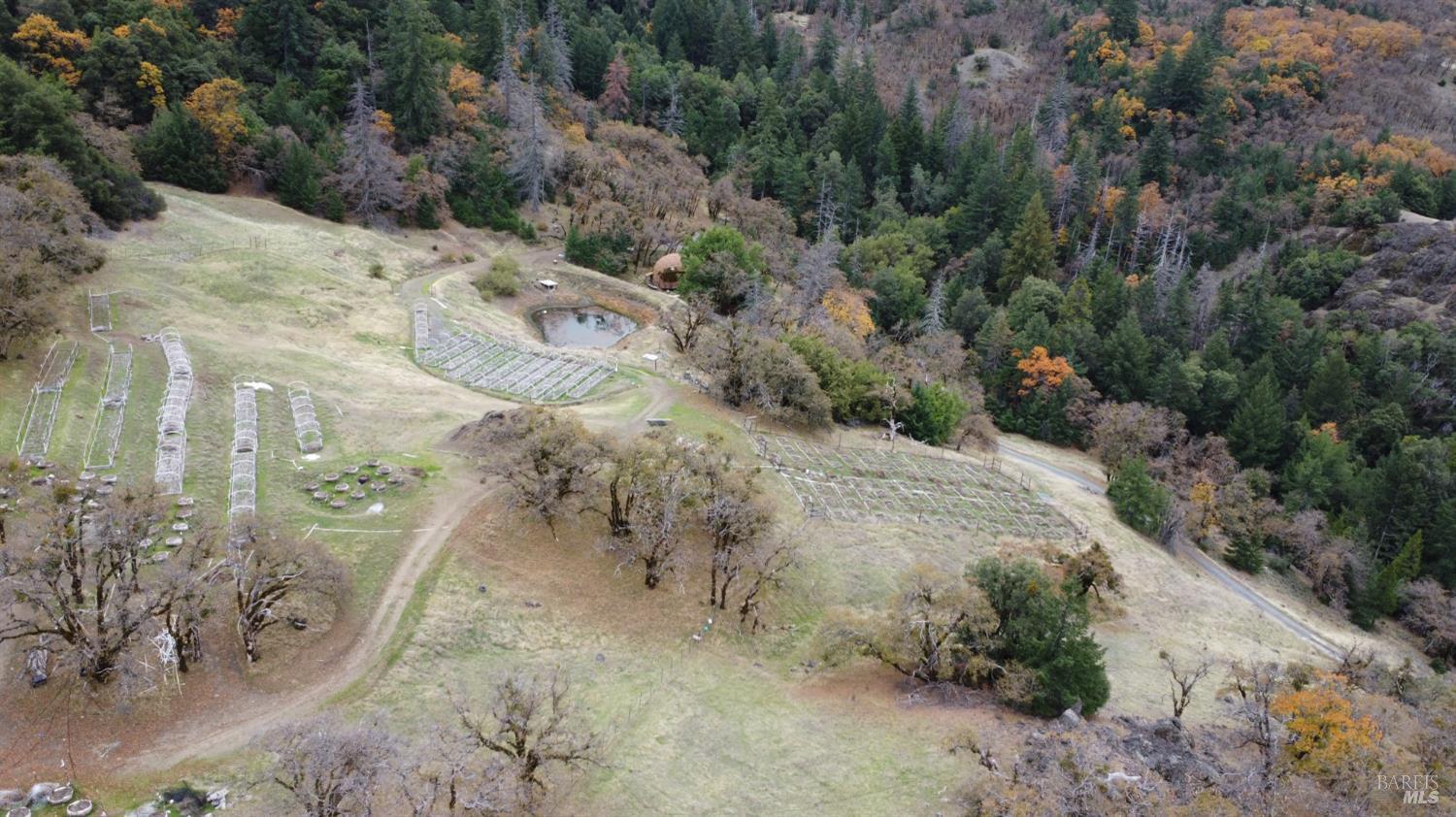 6565 Spyrock Road Laytonville, CA 95454 - Photo 3 of 42 a view of a dry yard with trees