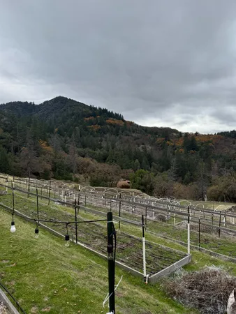 a view of a mountain in the distance