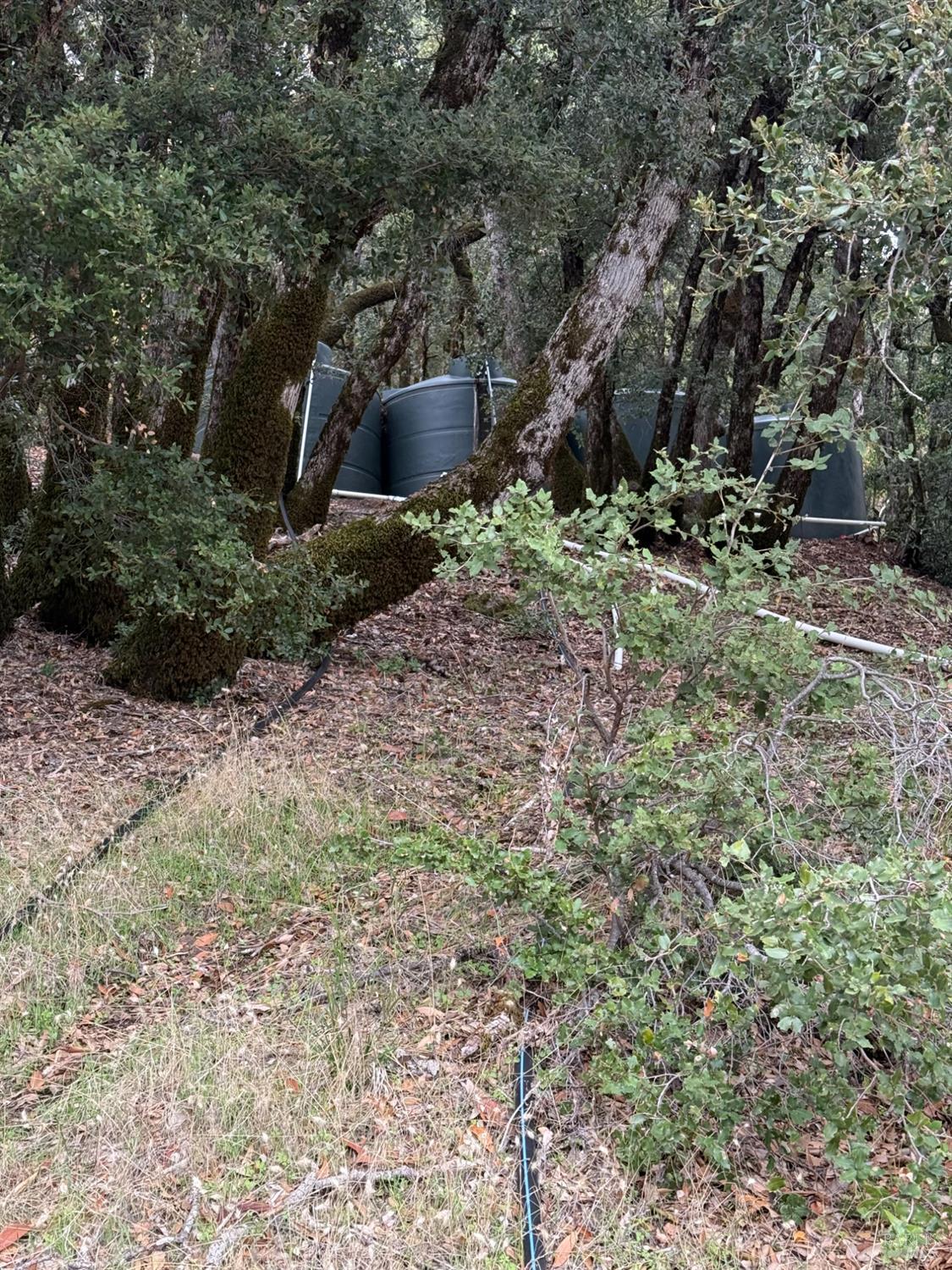 6565 Spyrock Road Laytonville, CA 95454 - Photo 38 of 42 a view of a outdoor space