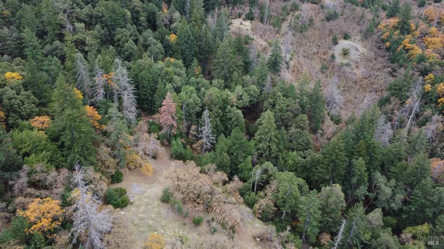 6565 Spyrock Road Laytonville, CA 95454 - Photo 40 of 42