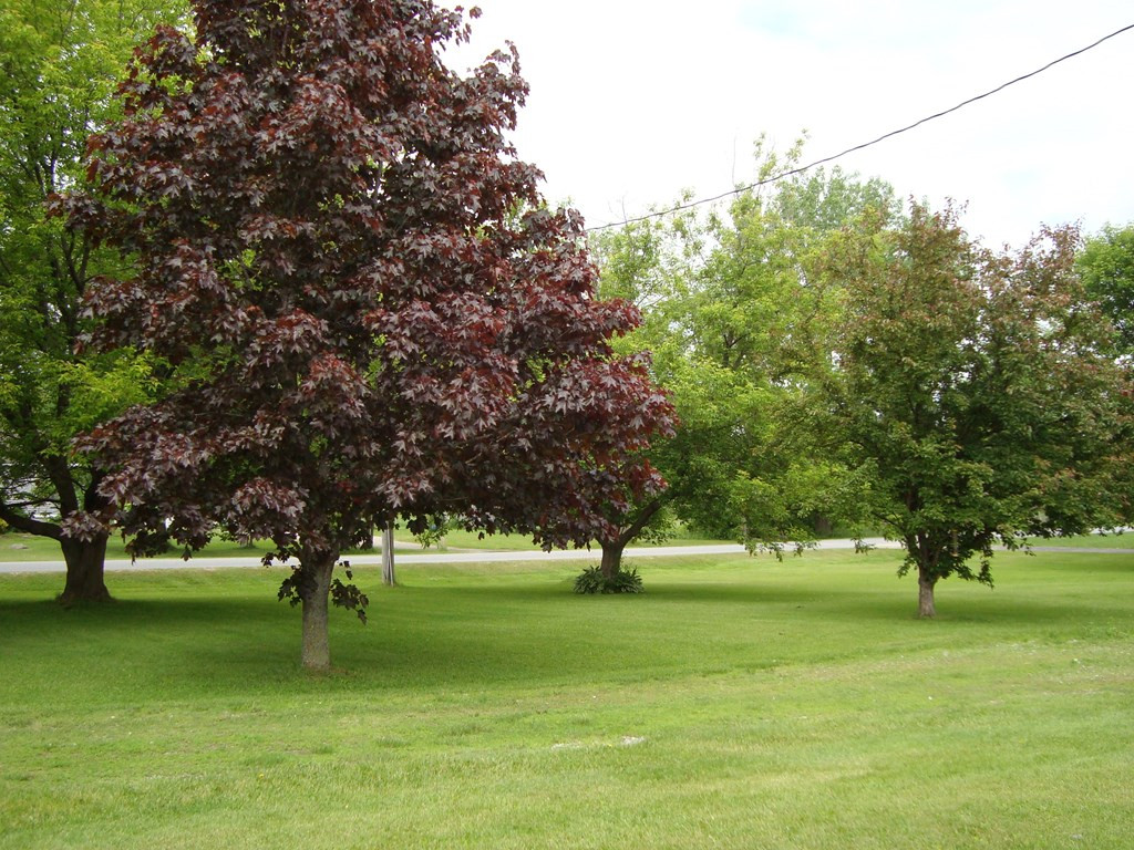 31 Clark Road Champlain, NY 12919 - Photo 18 of 20 Gallery Image 18