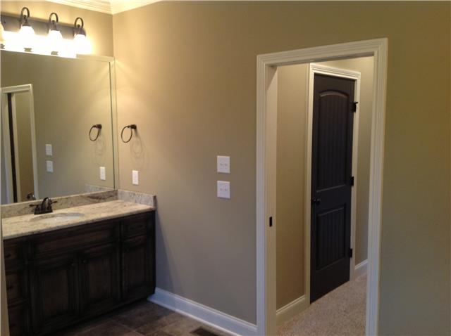 821 Double Log Cabin Road Lebanon, TN 37087 - Photo 5 of 16 a bathroom with a sink and mirror