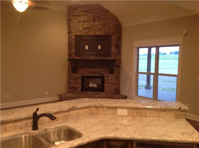 821 Double Log Cabin Road Lebanon, TN 37087 - Photo 8 of 16 a view of an empty room with a fireplace and a window