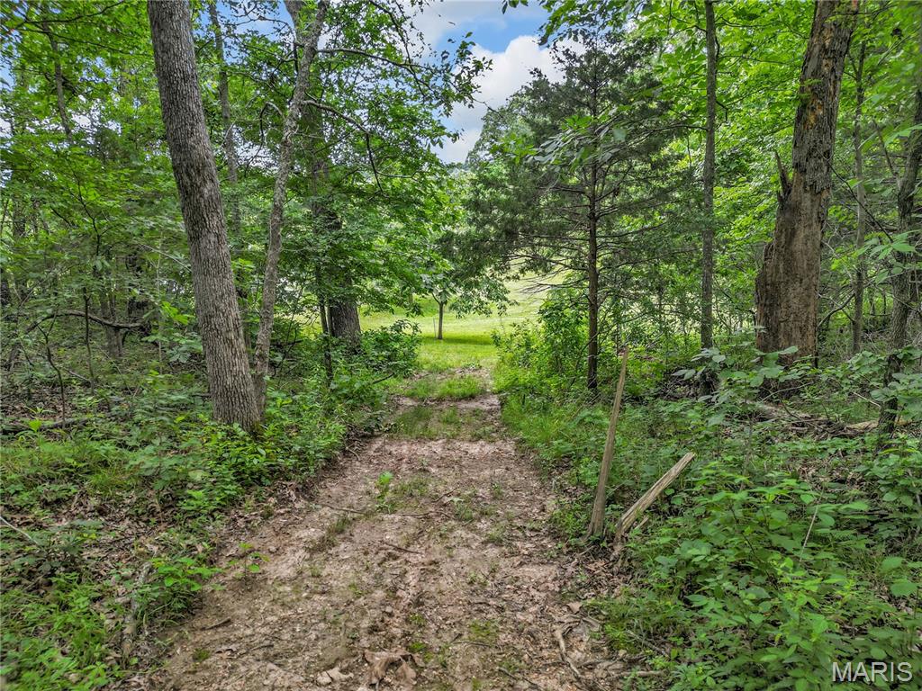1824 Morre Road Owensville, MO 65066 - Photo 68 of 70
