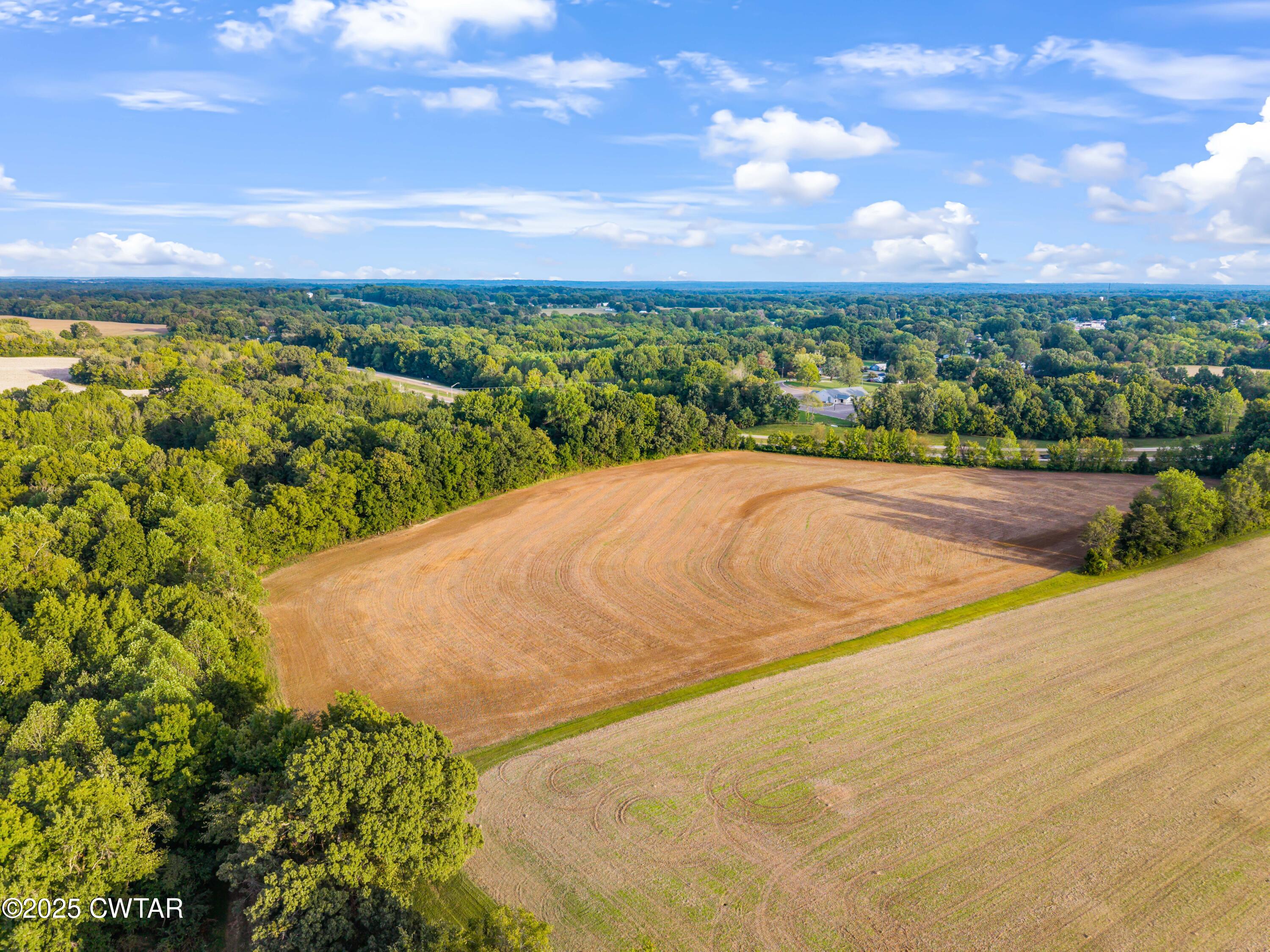 0 Bob Witt Road Medina, TN 38355 - Photo 13 of 20 a view of outdoor space with mountain view
