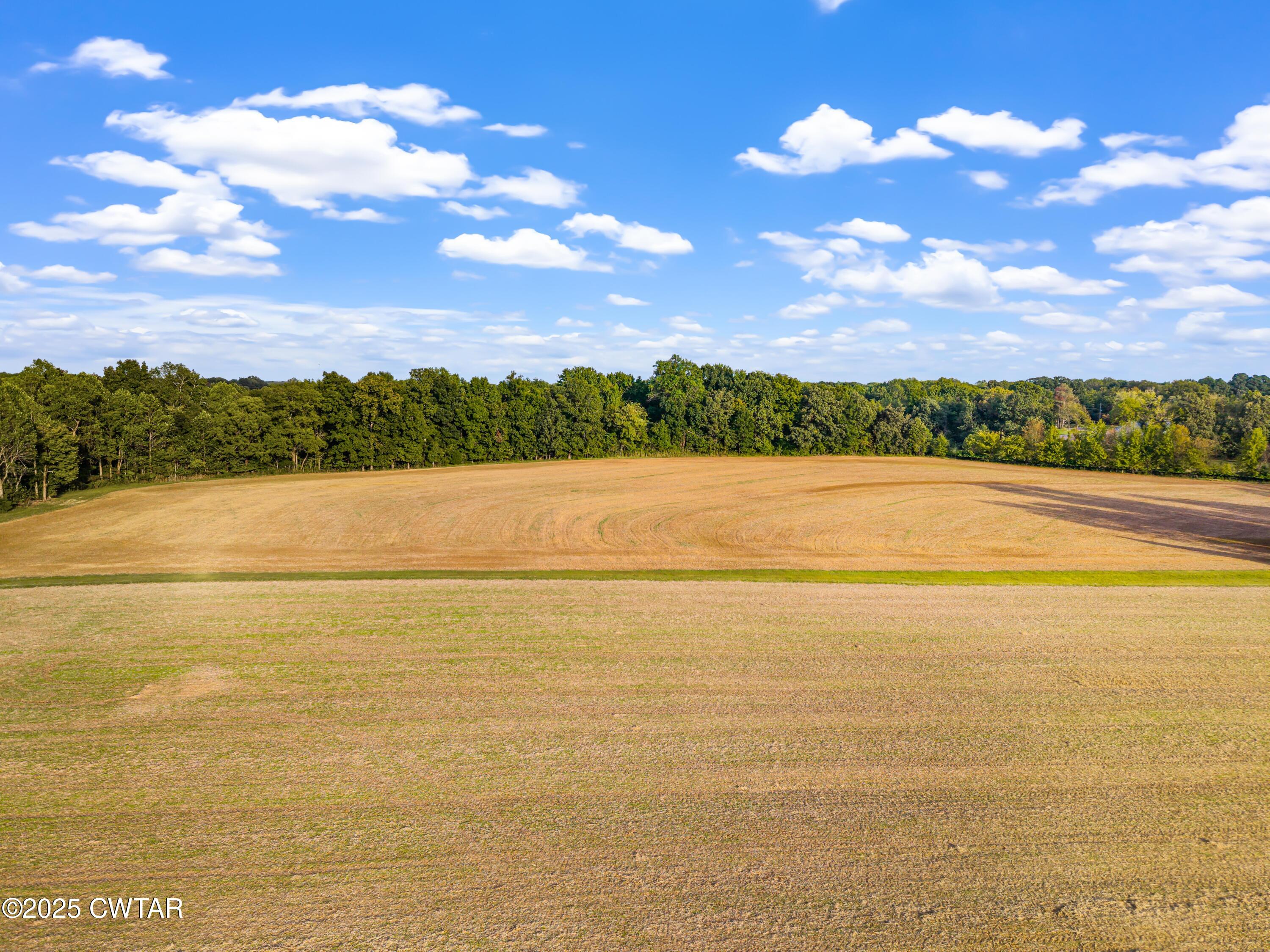 0 Bob Witt Road Medina, TN 38355 - Photo 14 of 20 a view of an ocean and a mountain