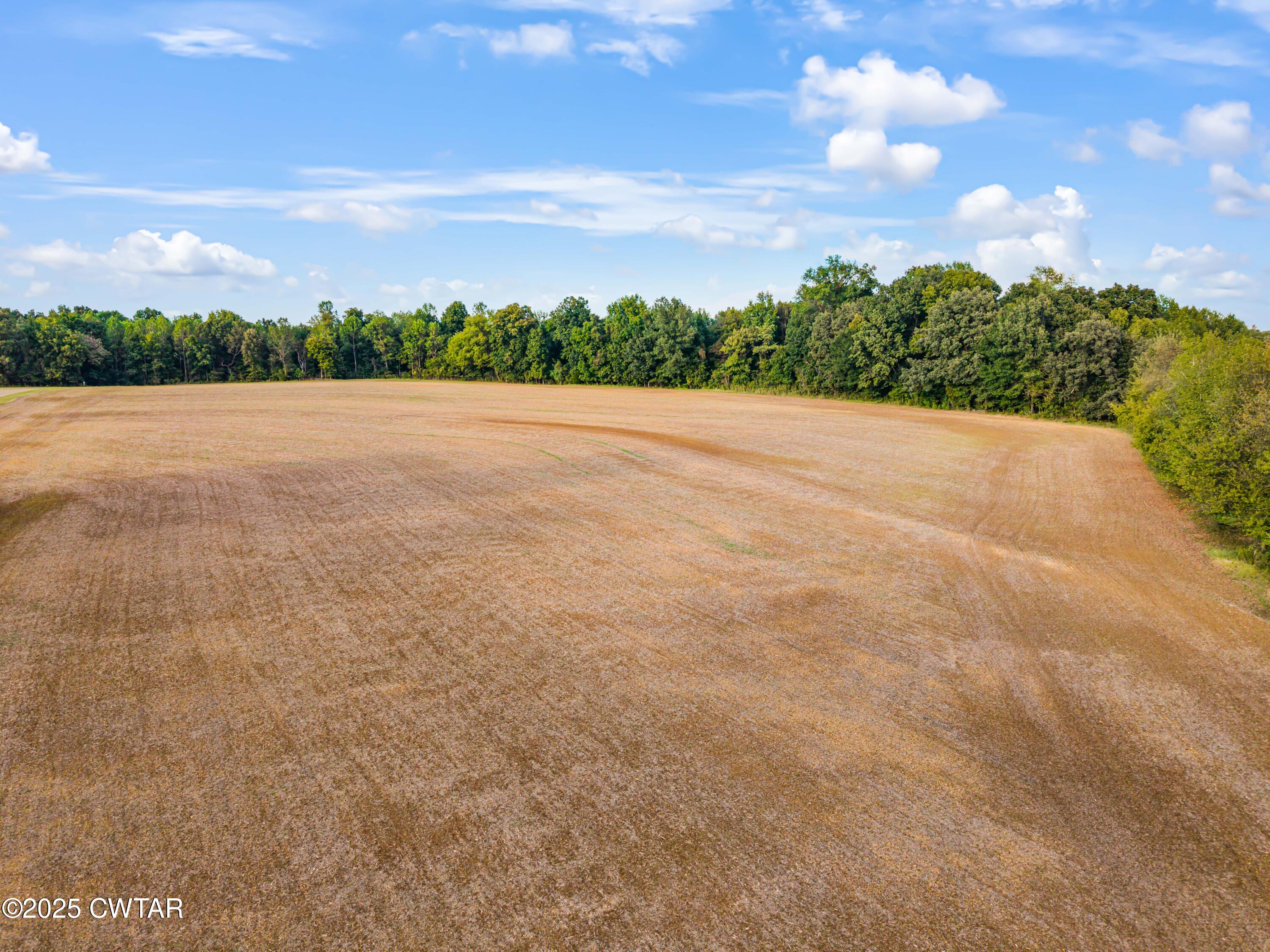 0 Bob Witt Road Medina, TN 38355 - Photo 15 of 20 a view of an outdoor space and a yard