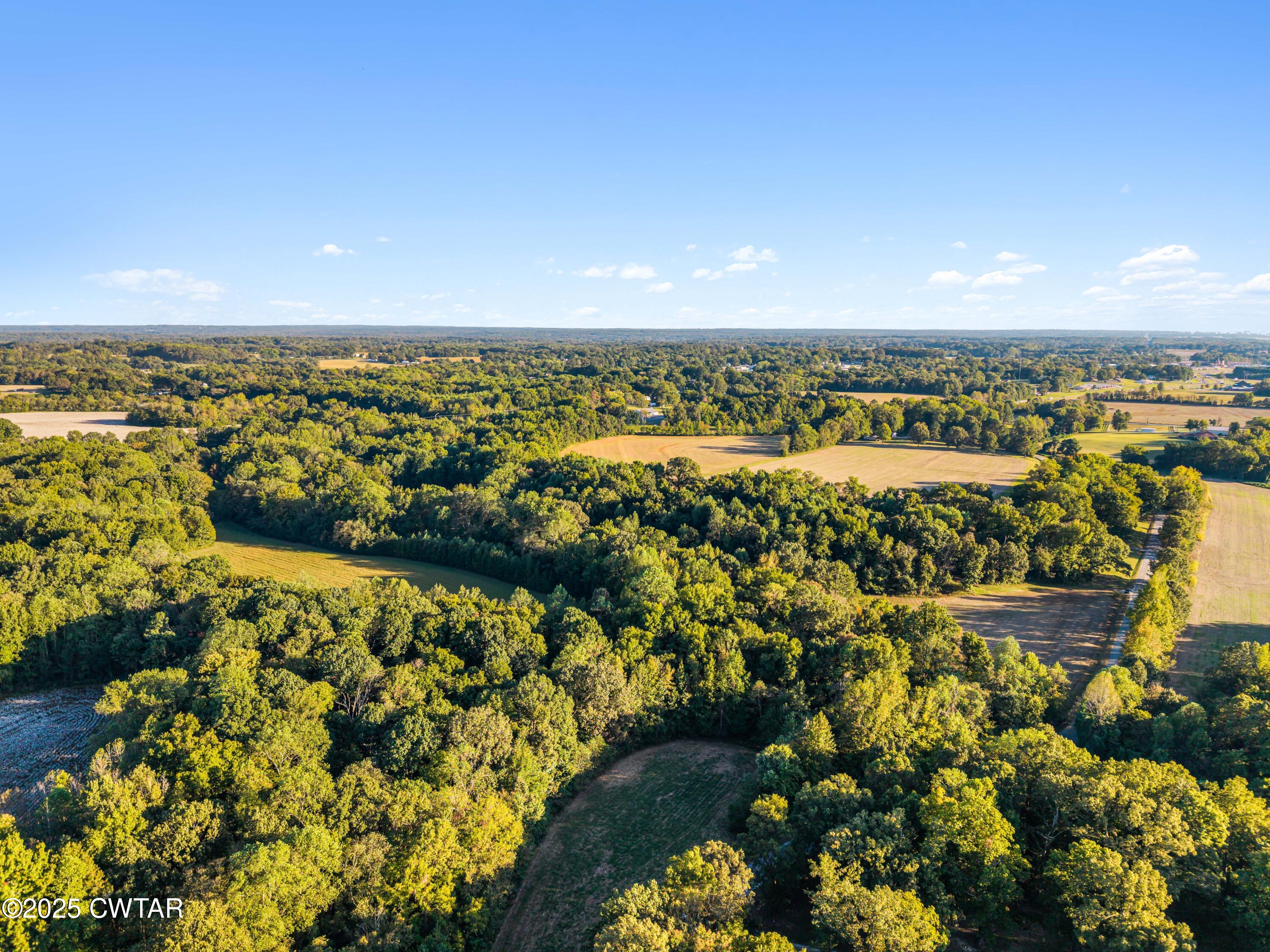 0 Bob Witt Road Medina, TN 38355 - Photo 19 of 20 a view of a city