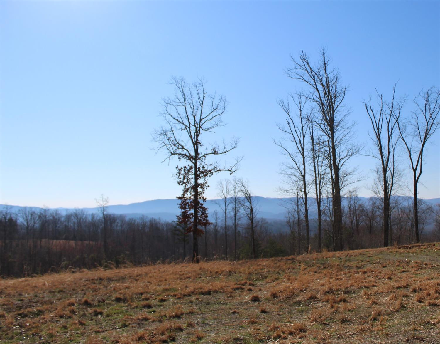 9999 Oak Ridge Church Road Williamsburg, KY 40769 - Photo 12 of 26 Photo 12