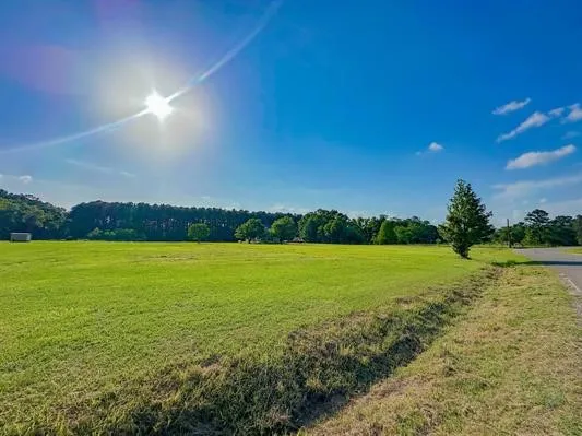 a view of an ocean from a yard