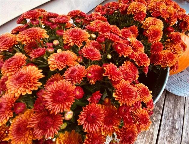 $239,900 | 1002 South Main Street, Concordia, MO 64020