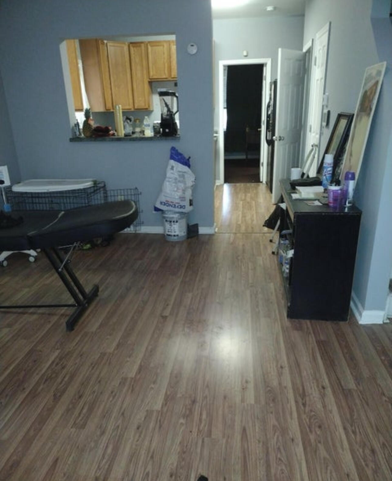 1747 Savage Road Charleston, SC 29407 - Photo 3 of 8 IMG_0912