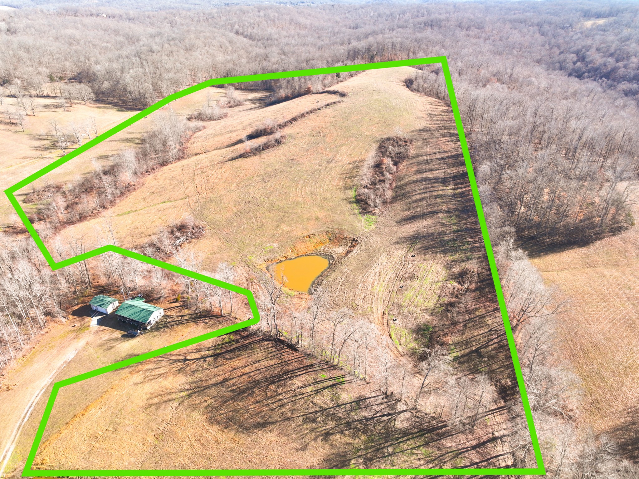 45 Possum Hollow Road Palmyra, TN 37142 - Photo 13 of 14 Gallery Image 13