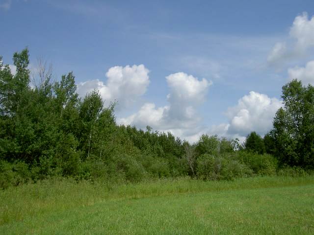 Hazel Bush Road Sturgeon Lake, MN 55783 - Photo 1 of 5 Gallery Image 1