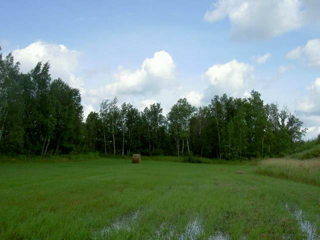 Hazel Bush Road Sturgeon Lake, MN 55783 - Photo 2 of 5 Gallery Image 2