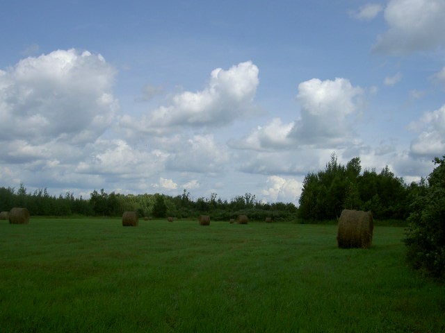 Hazel Bush Road Sturgeon Lake, MN 55783 - Photo 3 of 5 Gallery Image 3