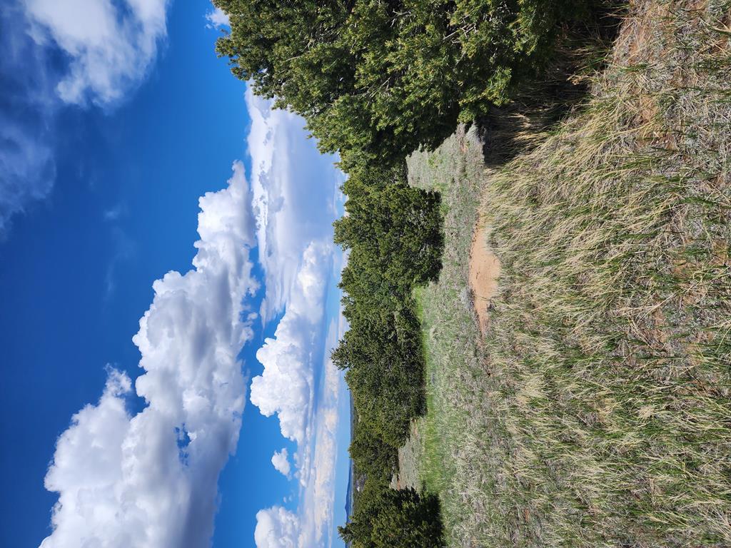 Tbd Tbd Commanche Road Walsenburg, CO 81089 - Photo 11 of 17 Gallery Image 11