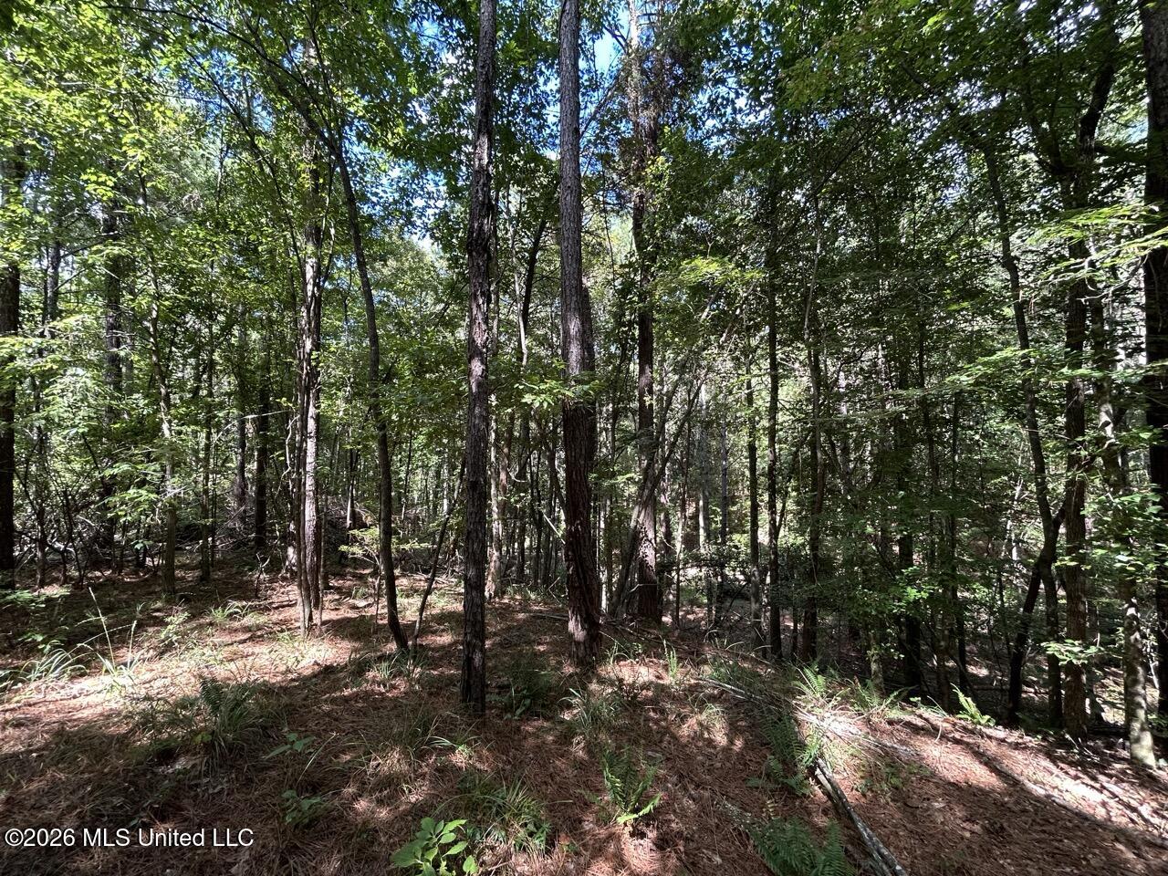 1669 Burt Jordan Road McCall Creek, MS 39647 - Photo 25 of 40 IMG_5794 Large