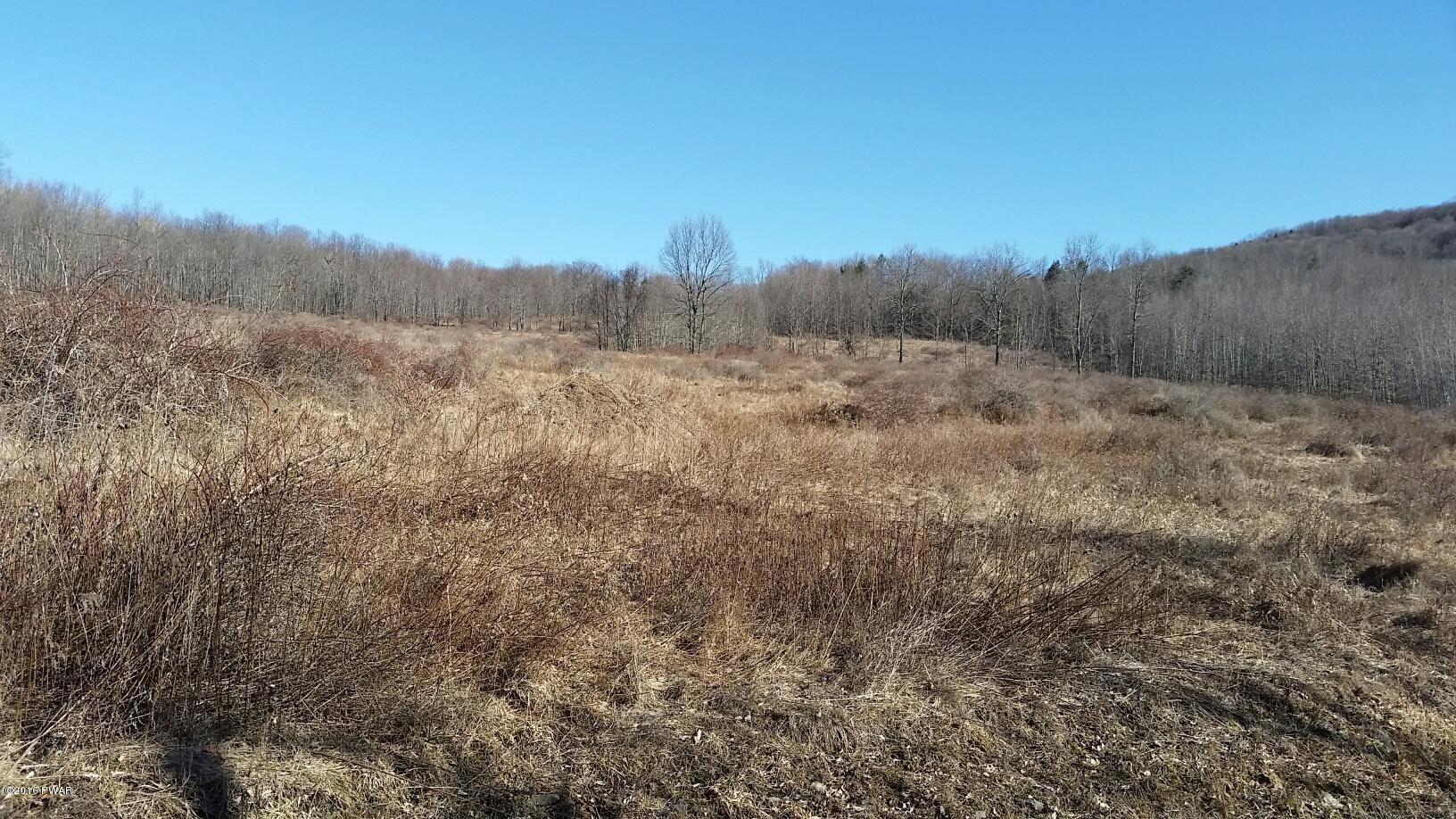 1297 Red Abbott Road Union Dale, PA 18470 - Photo 1 of 11