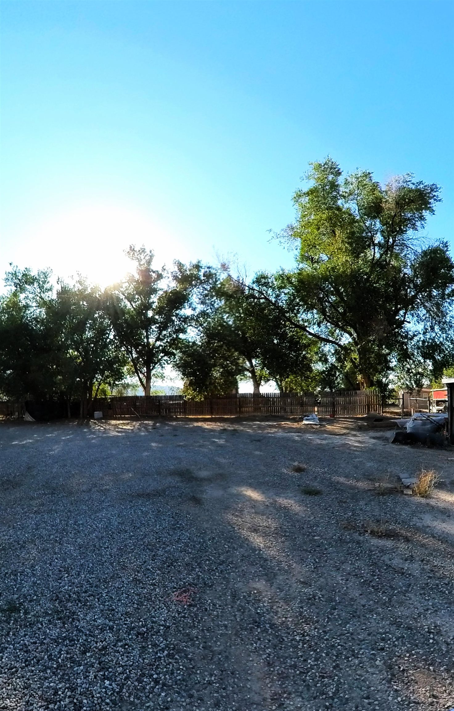 2108 1/2 H Road Fruita, CO 81521 - Photo 14 of 40 a view of dirt yard with a large tree