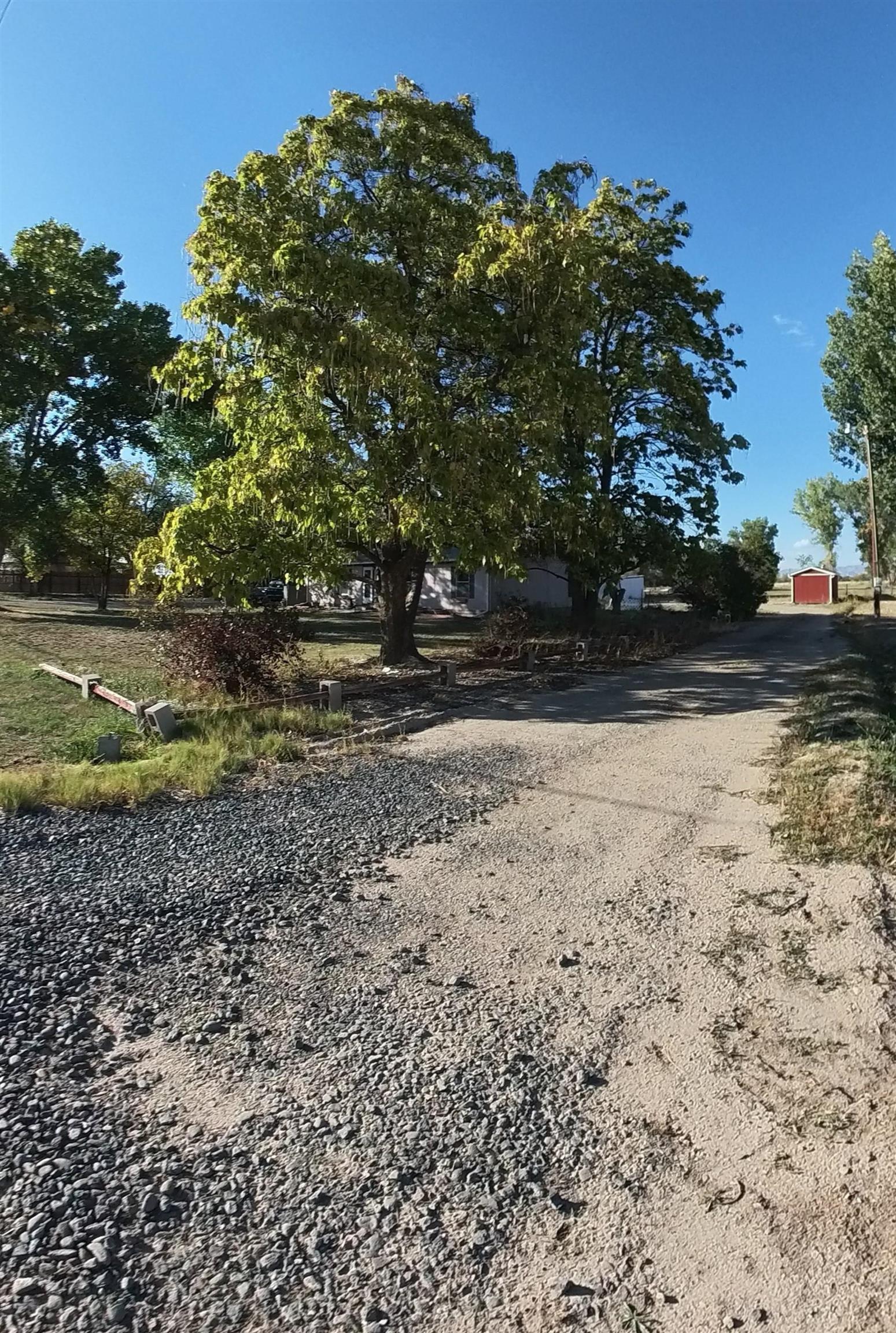 2108 1/2 H Road Fruita, CO 81521 - Photo 19 of 40 a view of a yard with a tree