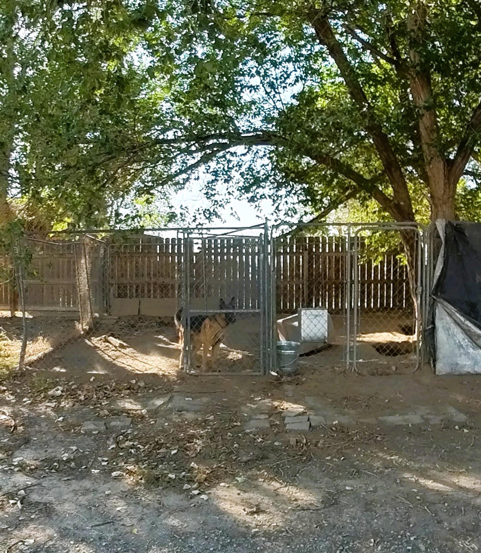 2108 1/2 H Road Fruita, CO 81521 - Photo 5 of 40 a view of a small yard with wooden fence and a bench
