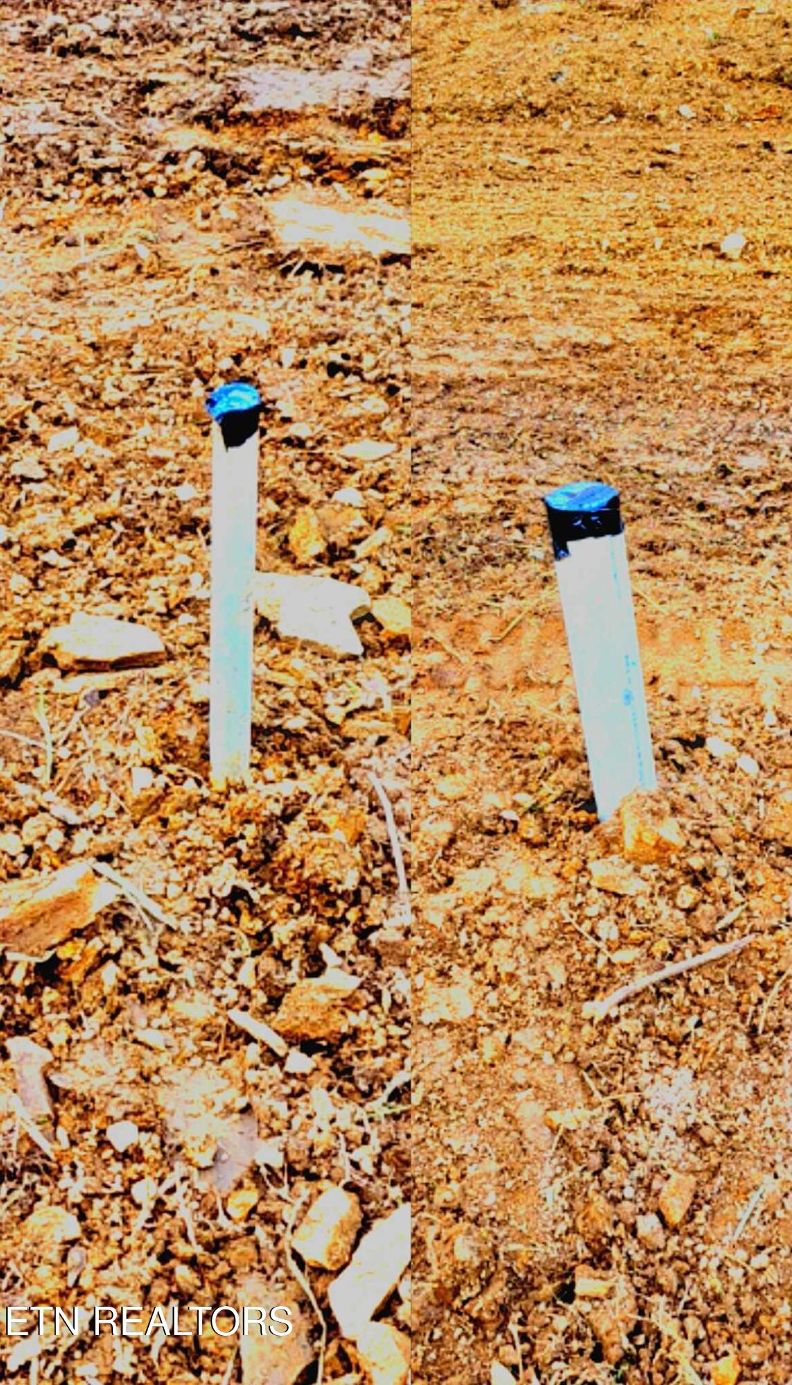 2393 Lower Rinehart Road Dandridge, TN 37725 - Photo 4 of 11 .