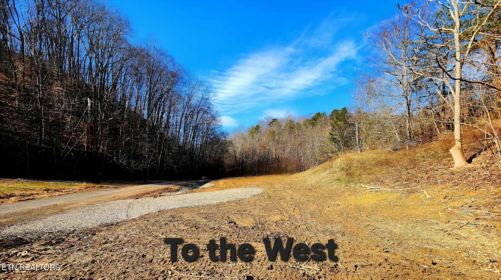 2393 Lower Rinehart Road Dandridge, TN 37725 - Photo 6 of 11 to the west