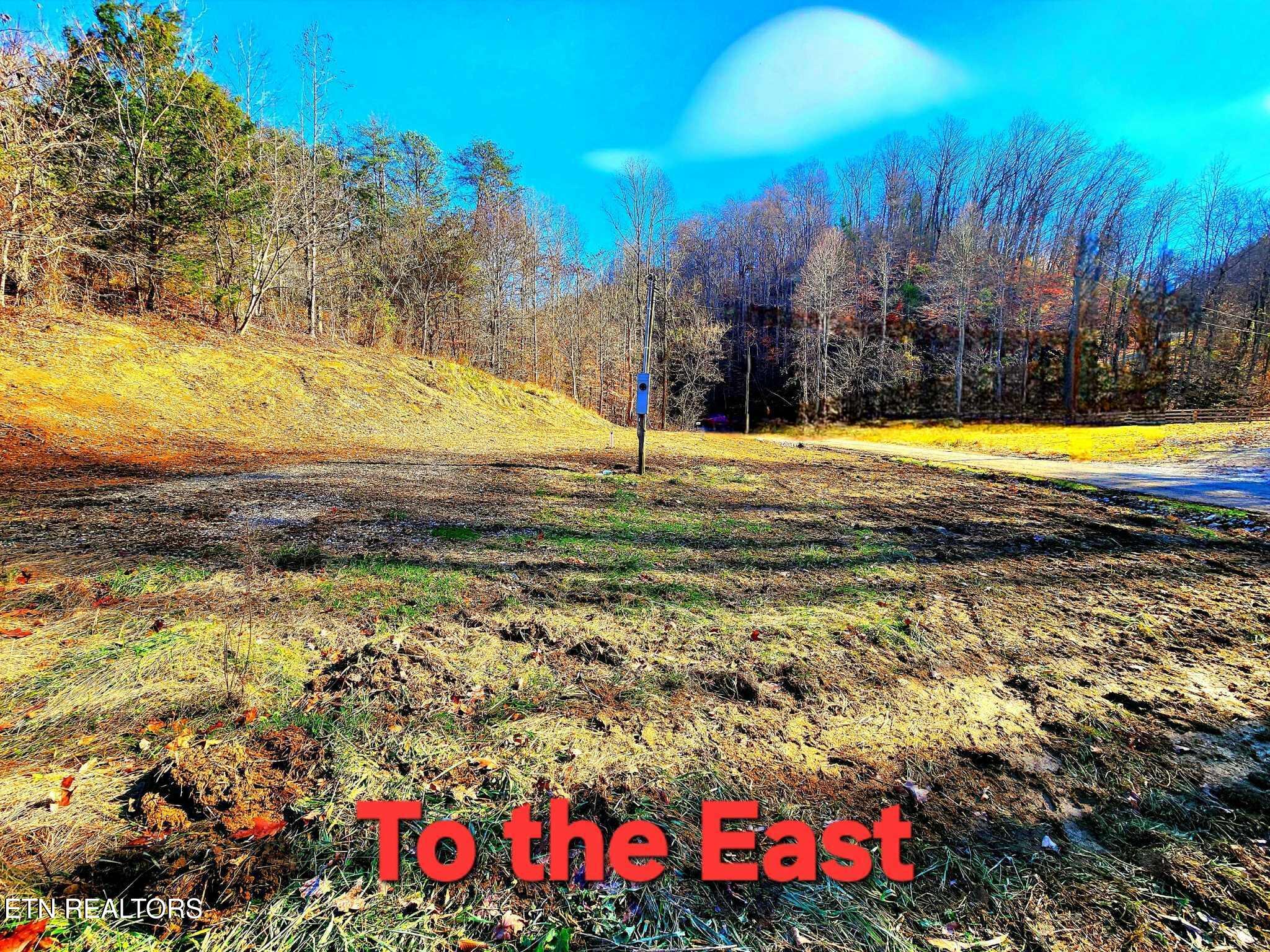 2393 Lower Rinehart Road Dandridge, TN 37725 - Photo 7 of 11 to the east