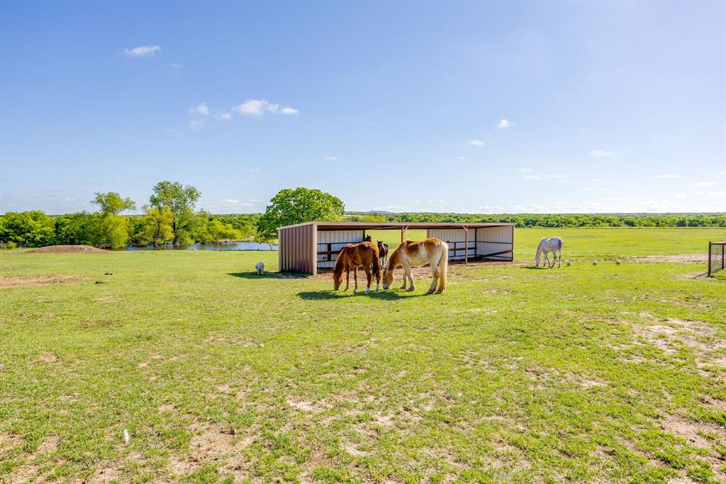 3678 County Road 3655 Bridgeport, TX 76426 - Photo 13 of 40 pasture